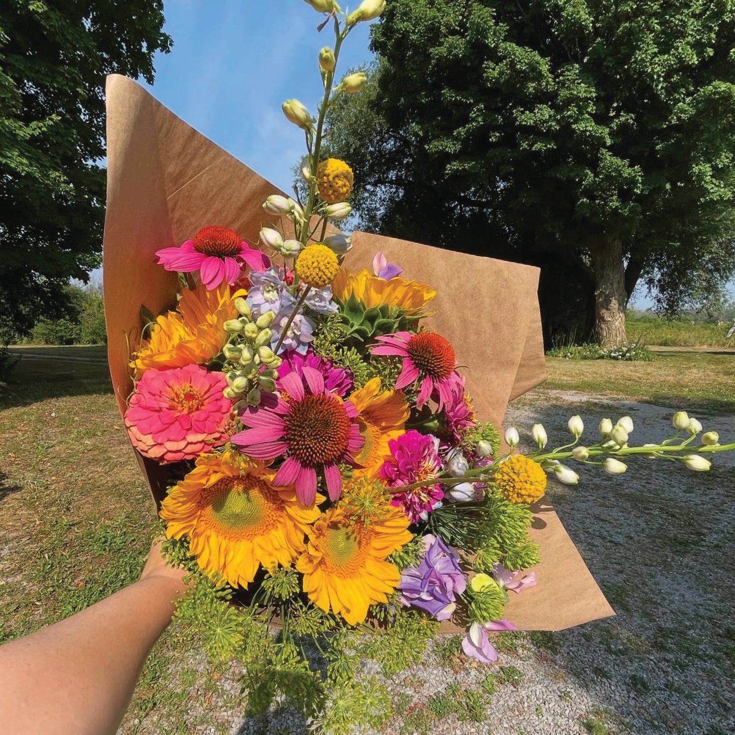 Peonies to Dahlias Bouquet Subscription