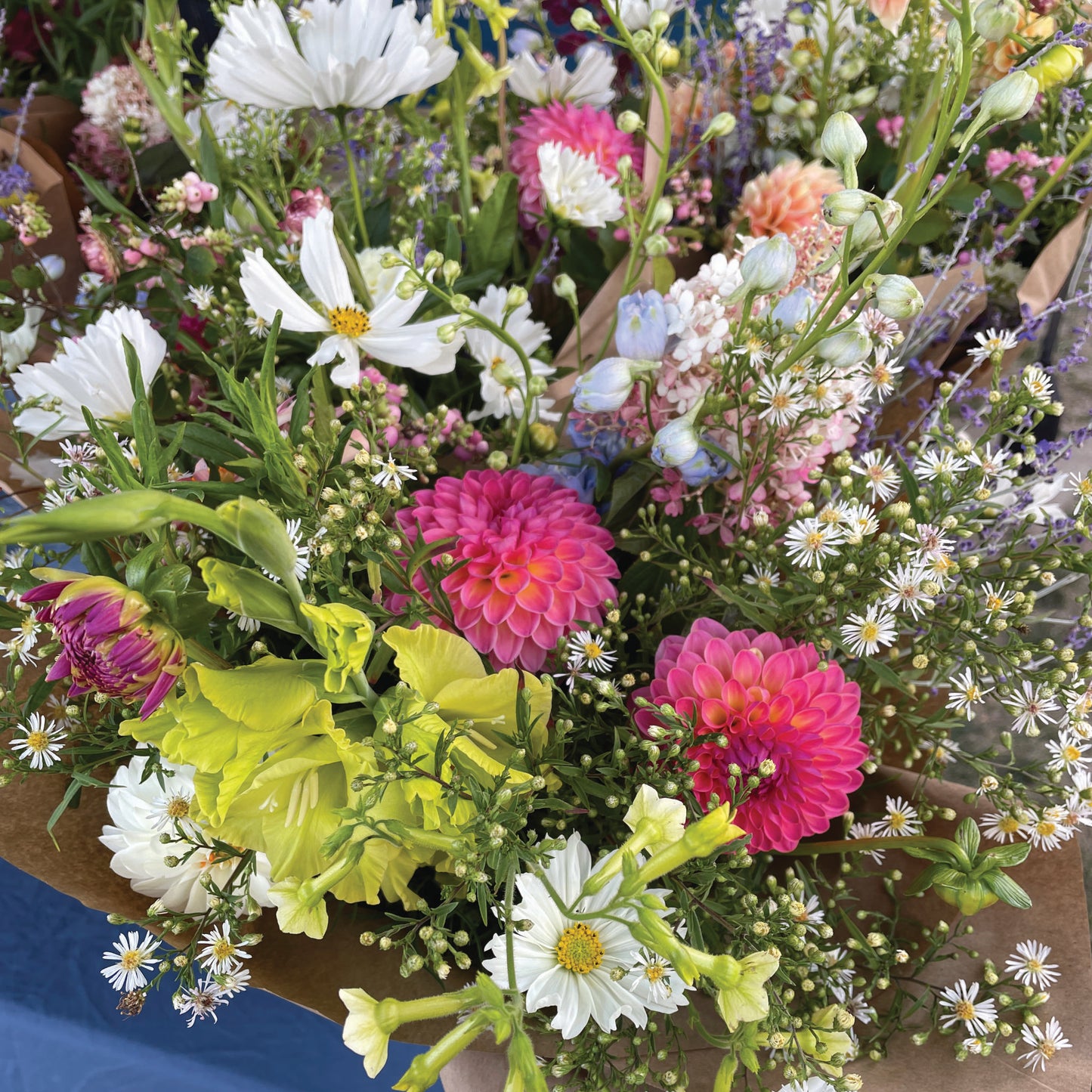 Peonies to Dahlias Bouquet Subscription