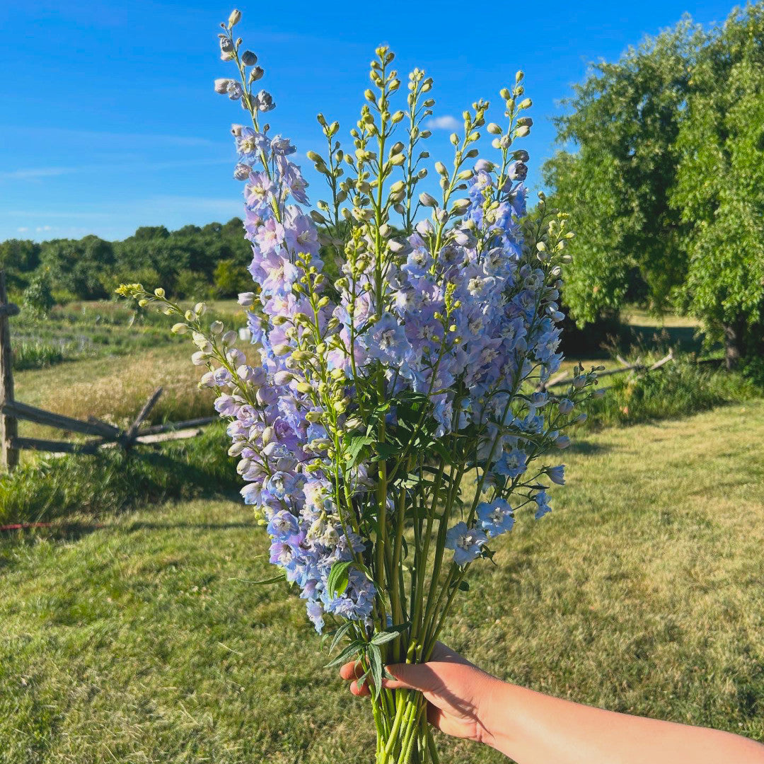Summer Sunshine Bouquet Subscription