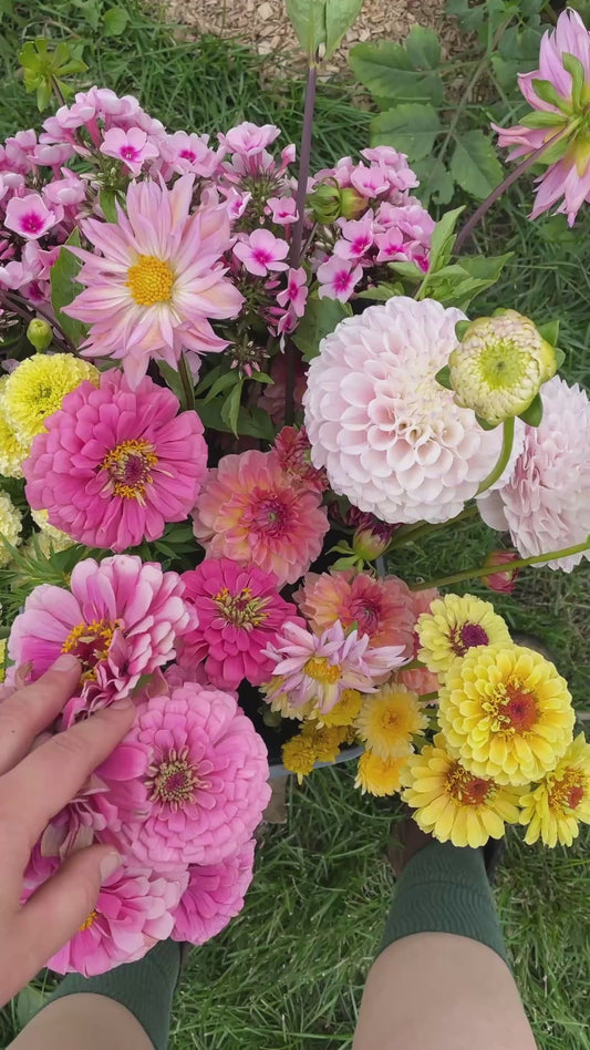 Party Bucket - Flower Stems for DIY Arrangements