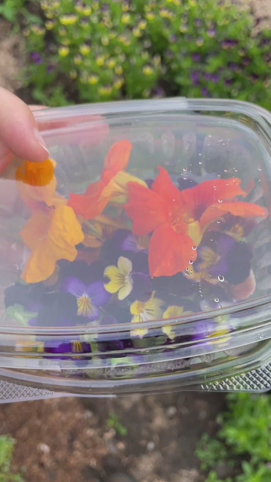 Edible Flowers